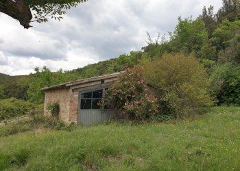 20220509_125905.jpg - Casale Località Prodo, Orvieto - foto 28