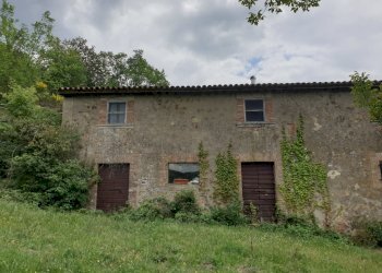 20220509_125916.jpg - Casale Località Prodo, Orvieto - foto 29