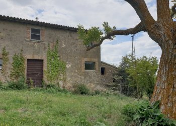 20220509_125918.jpg - Casale Località Prodo, Orvieto - foto 30