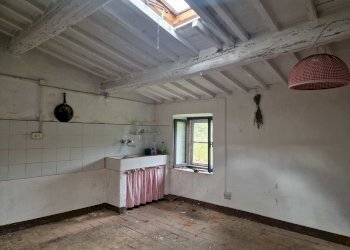 20230505_131426.jpg - Casale Località Prodo, Orvieto - foto 9