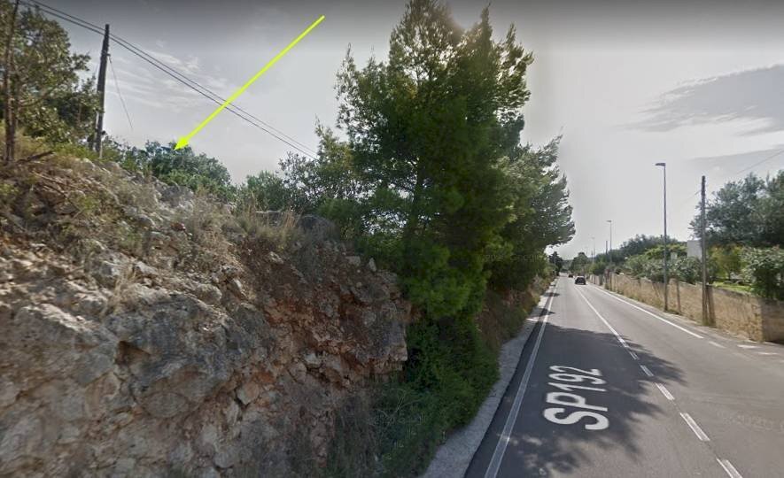 Agricultural land Patù - photo 3