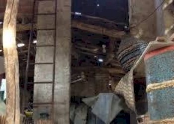 images (8).jpg - Terratetto - Terracielo Via di Arliano, Lucca - foto 8