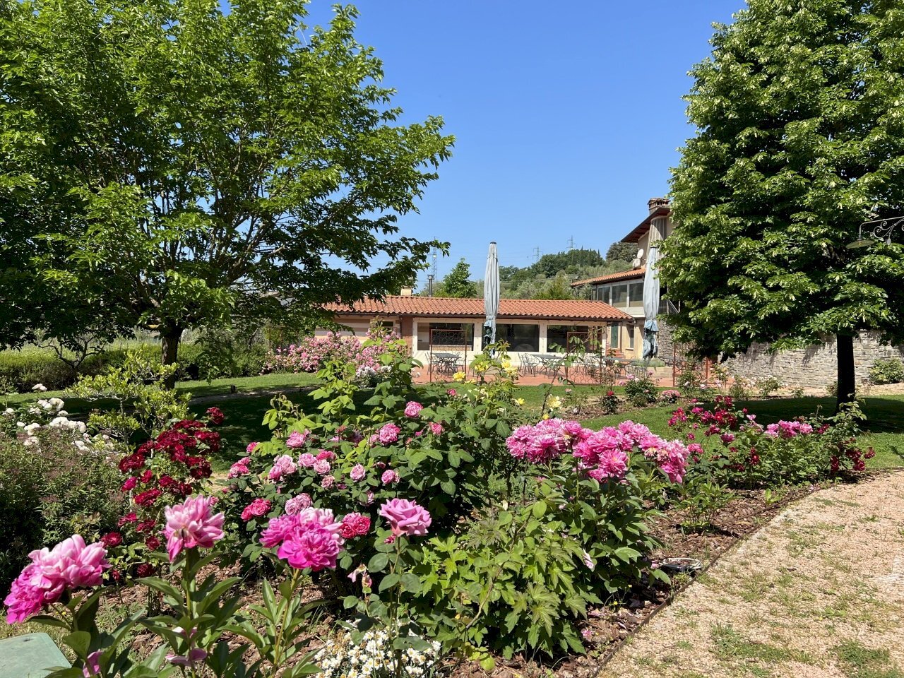 IMG_4828.JPG - Agritourism Castelnuovo Magra - photo 2