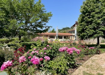 IMG_4828.JPG - Agritourism Castelnuovo Magra - photo 2