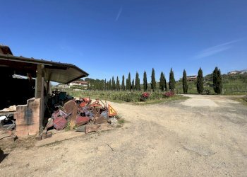 IMG_4687.JPG - Agritourism Castelnuovo Magra - photo 5