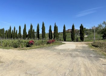 IMG_4688.JPG - Agritourism Castelnuovo Magra - photo 6