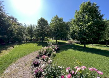 IMG_4692.JPG - Agritourism Castelnuovo Magra - photo 10