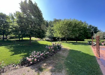 IMG_4693.JPG - Agritourism Castelnuovo Magra - photo 11