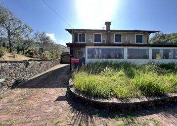 IMG_4697.JPG - Agritourism Castelnuovo Magra - photo 14