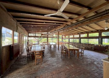 IMG_4706.JPG - Agritourism Castelnuovo Magra - photo 19