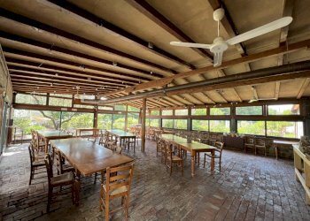 IMG_4707.JPG - Agritourism Castelnuovo Magra - photo 20