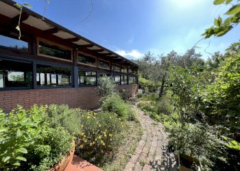 IMG_4708.JPG - Agritourism Castelnuovo Magra - photo 21