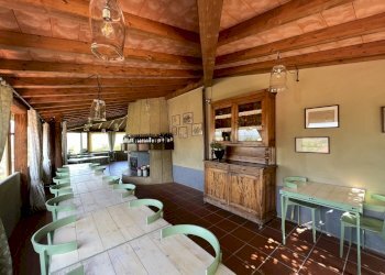 IMG_4710.JPG - Agritourism Castelnuovo Magra - photo 23