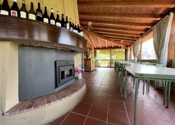 IMG_4712.JPG - Agritourism Castelnuovo Magra - photo 25