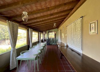 IMG_4713.JPG - Agritourism Castelnuovo Magra - photo 26