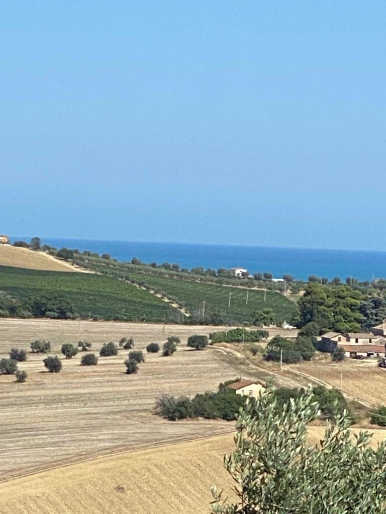 12 TERRENO EDIFICABIE ED AGRICOLO VISTA MARE E MON - Terreno agricolo Colonnella - foto 2