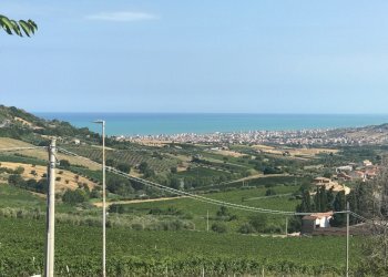 02 TERRENO EDIFICABIE ED AGRICOLO VISTA MARE E MON - Terreno agricolo Colonnella - foto 1