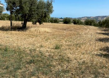 15 TERRENO EDIFICABIE ED AGRICOLO VISTA MARE E MON - Terreno agricolo Colonnella - foto 15