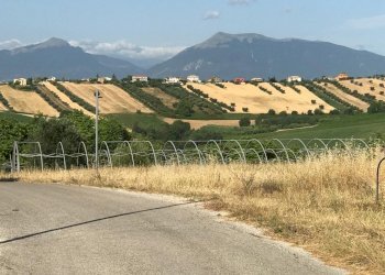 16 TERRENO EDIFICABIE ED AGRICOLO VISTA MARE E MON - Terreno agricolo Colonnella - foto 16