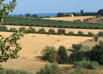 01 TERRENO EDIFICABIE ED AGRICOLO VISTA MARE E MON - Terreno edificabile Colonnella - foto 4