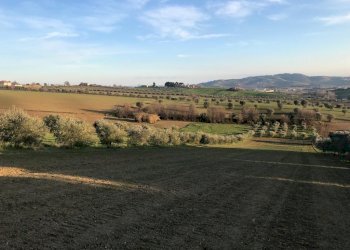 11 TERRENO EDIFICABIE ED AGRICOLO VISTA MARE E MON - Terreno edificabile Colonnella - foto 12