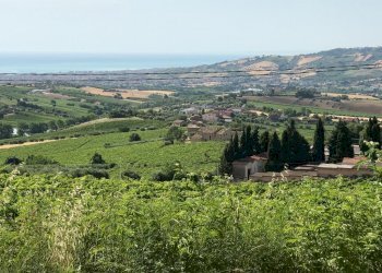 13 TERRENO EDIFICABIE ED AGRICOLO VISTA MARE E MON - Terreno edificabile Colonnella - foto 13