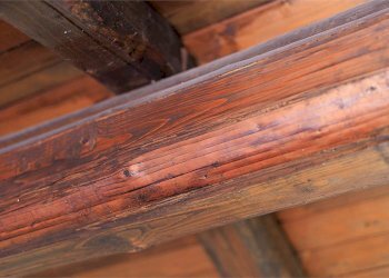 Rustic via torino 210, hamlet Madonna dell'Olmo, Cuneo - photo 32