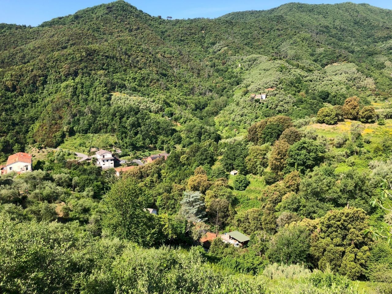 WhatsApp Image 2021-06-09 at 17.15.32.jpeg - Agricultural land Leivi - photo 1