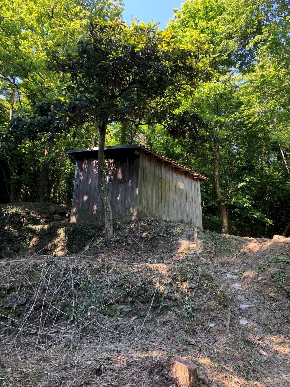 WhatsApp Image 2021-06-09 at 17.15.33 (1).jpeg - Agricultural land Leivi - photo 3