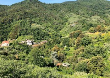 WhatsApp Image 2021-06-09 at 17.15.32.jpeg - Terreno agricolo Leivi - foto 1