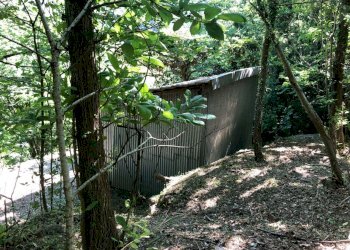 WhatsApp Image 2021-06-09 at 17.15.34.jpeg - Terreno agricolo Leivi - foto 2