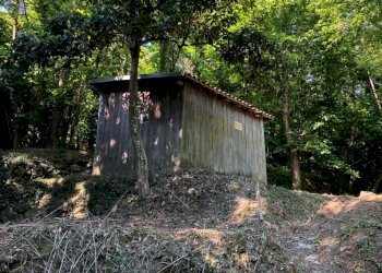 WhatsApp Image 2021-06-09 at 17.15.33 (1).jpeg - Terreno agricolo Leivi - foto 3