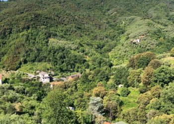 WhatsApp Image 2021-06-09 at 17.15.33.jpeg - Terreno agricolo Leivi - foto 5