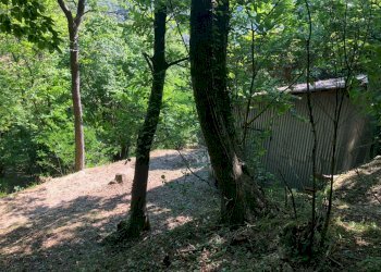 WhatsApp Image 2021-06-09 at 17.15.34 (1).jpeg - Terreno agricolo Leivi - foto 6