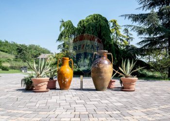 Villa SP 79, 34 
 Valenza, Valenza - foto 15