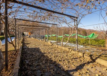 Independent house Via Comba Carle, 36, Barge - photo 42