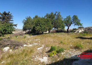 Casa indipendente CONTRADA TORRE PALOMBO, Scicli - foto 9