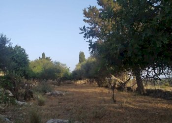 Casa indipendente CONTRADA TORRE PALOMBO, Scicli - foto 12