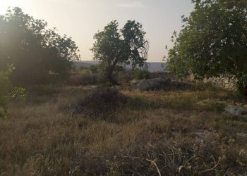 Casa indipendente CONTRADA TORRE PALOMBO, Scicli - foto 13