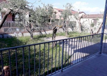 15COR.jpg - Villa Trifamiliare Sarzana - foto 14