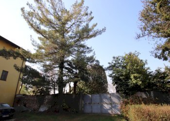 IMG_6102.JPG - Terratetto - Terracielo Via Andrea Silva 10, Momo - foto 13