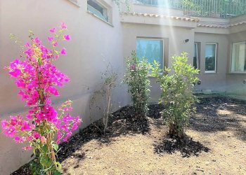 Giardino - Attico piazzale Flaminio, 10, Roma - foto 27