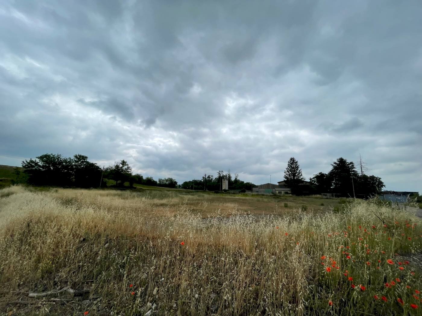 TERRENO INDUSTRIALE - Terreno edificabile via Padre Michele, Carbonara Scrivia - foto 2