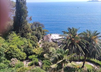 giardino - Apartment via Aurelia, Zoagli - photo 3