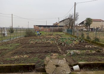 Giardino - Rustico Cascina Milorta, Sozzago - foto 8