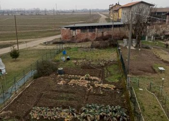 Giardino - Rustico Cascina Milorta, Sozzago - foto 17