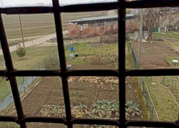 Vista giardino - Rustico Cascina Milorta, Sozzago - foto 18