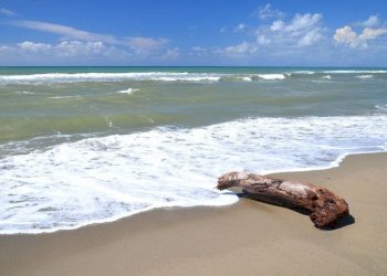 ma13.jpg - Attico Massa - foto 15