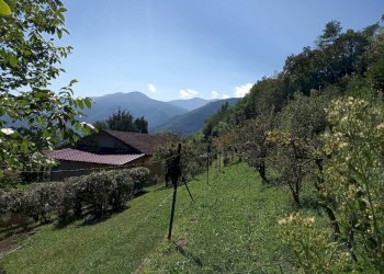 Casa indipendente Villar Perosa - foto 19