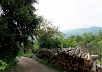 Independent house Via Bellini, Brondello - photo 25
